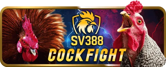 Ưu đãi chào mừng thành viên mới kubet777 nhà cái